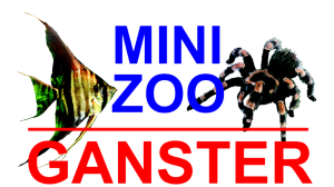 Minizoo | Ganster